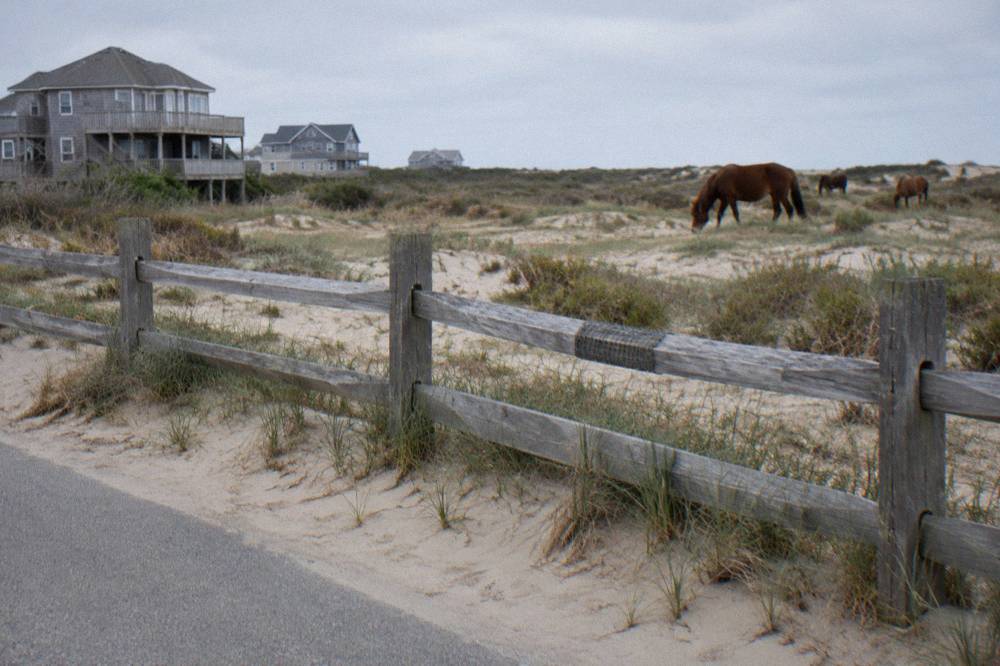 Wooden fence line separating the paved village from the wild horse area north of Corolla